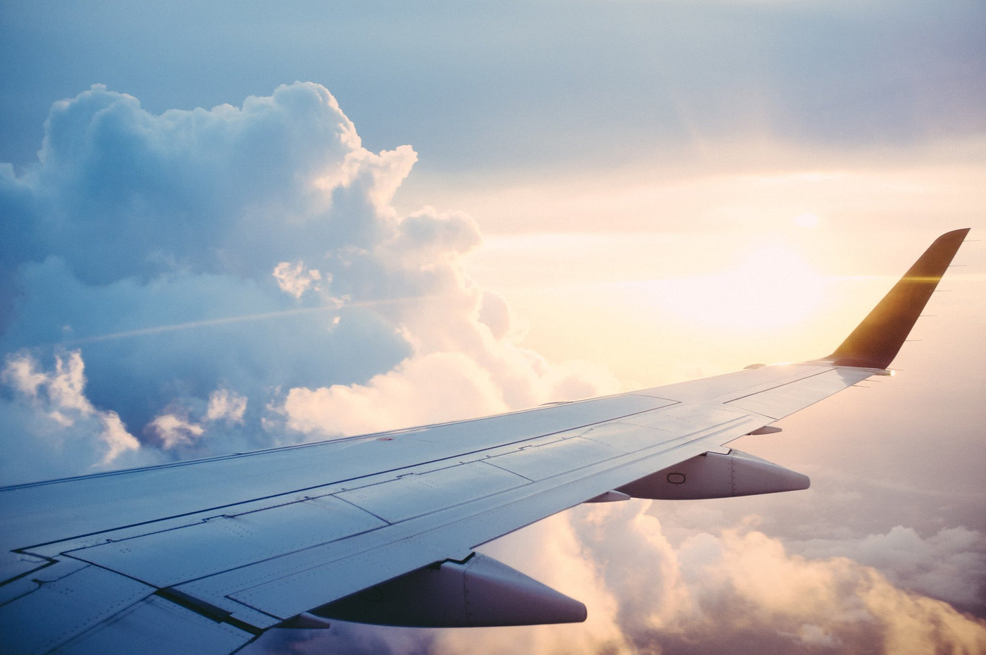 Four in flight traveller types