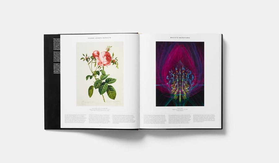 Phaidon, Plant - The Brotique with Free UK Shipping for Mens Beard Care, Mens Shaving and Mens Gifts