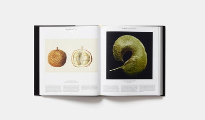 Phaidon, Plant - The Brotique with Free UK Shipping for Mens Beard Care, Mens Shaving and Mens Gifts