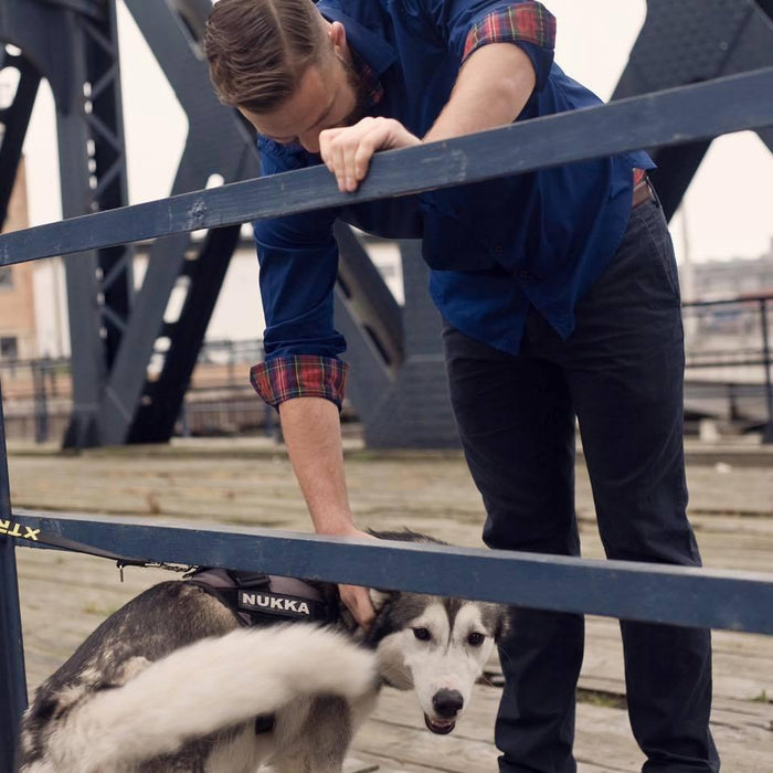 Cragg & Tail x The Brotique x Black Isle Beer x Pickering's Gin